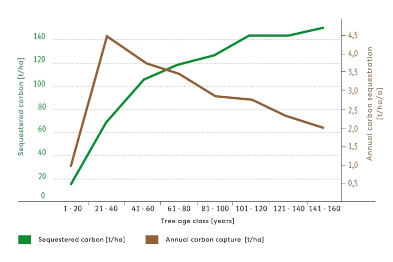 A graph that shows how trees sequester carbon by age