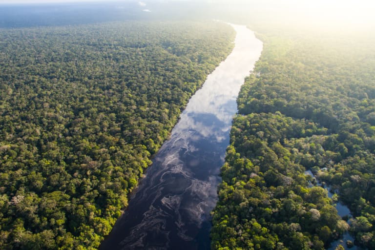 tipping point climate change, the amazon rainforest