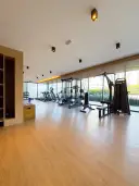 miniatura 14