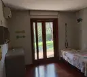 miniatura 11
