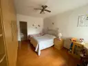miniatura 15