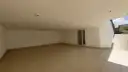 miniatura 21