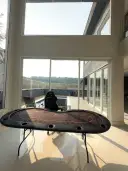 miniatura 11