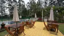 miniatura 36