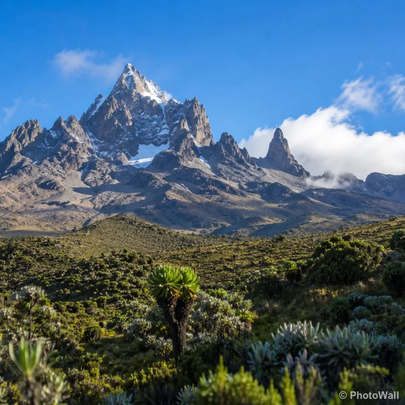 1779010765506-mtkenya
