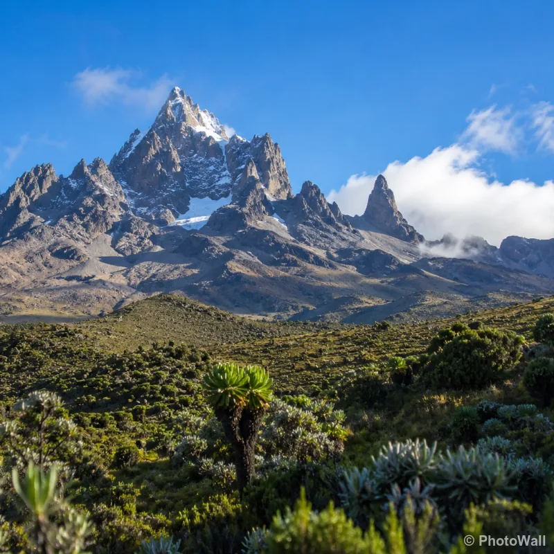 1779009303713-mtkenya