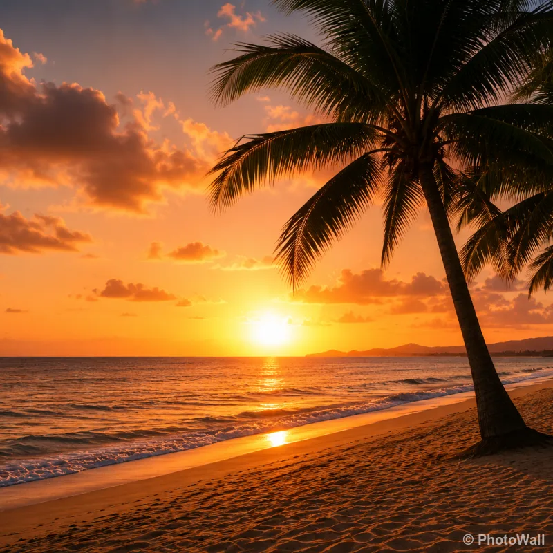 1779010133453-Tropical sunset with palm silhouettes