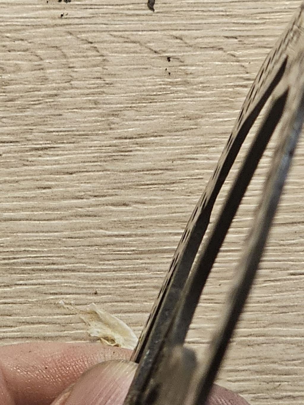 I think i used this one rotor on 3 builds. Poor thing. Rest now.