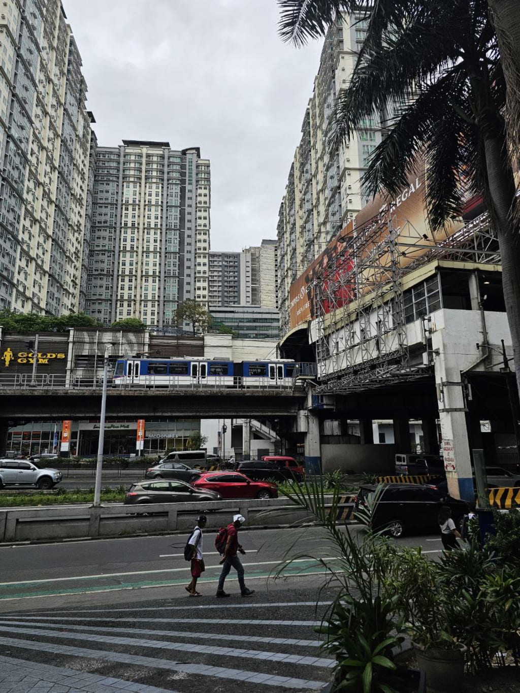 Gallery 2025-12-07 07:07