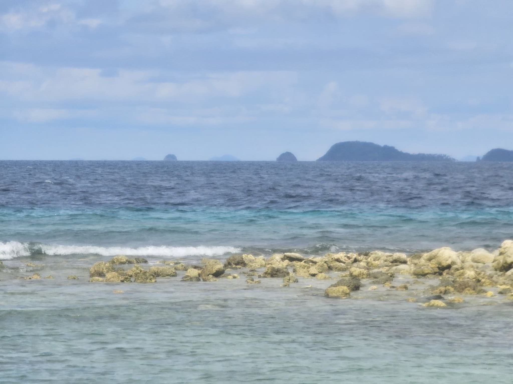 Photo from Telegram