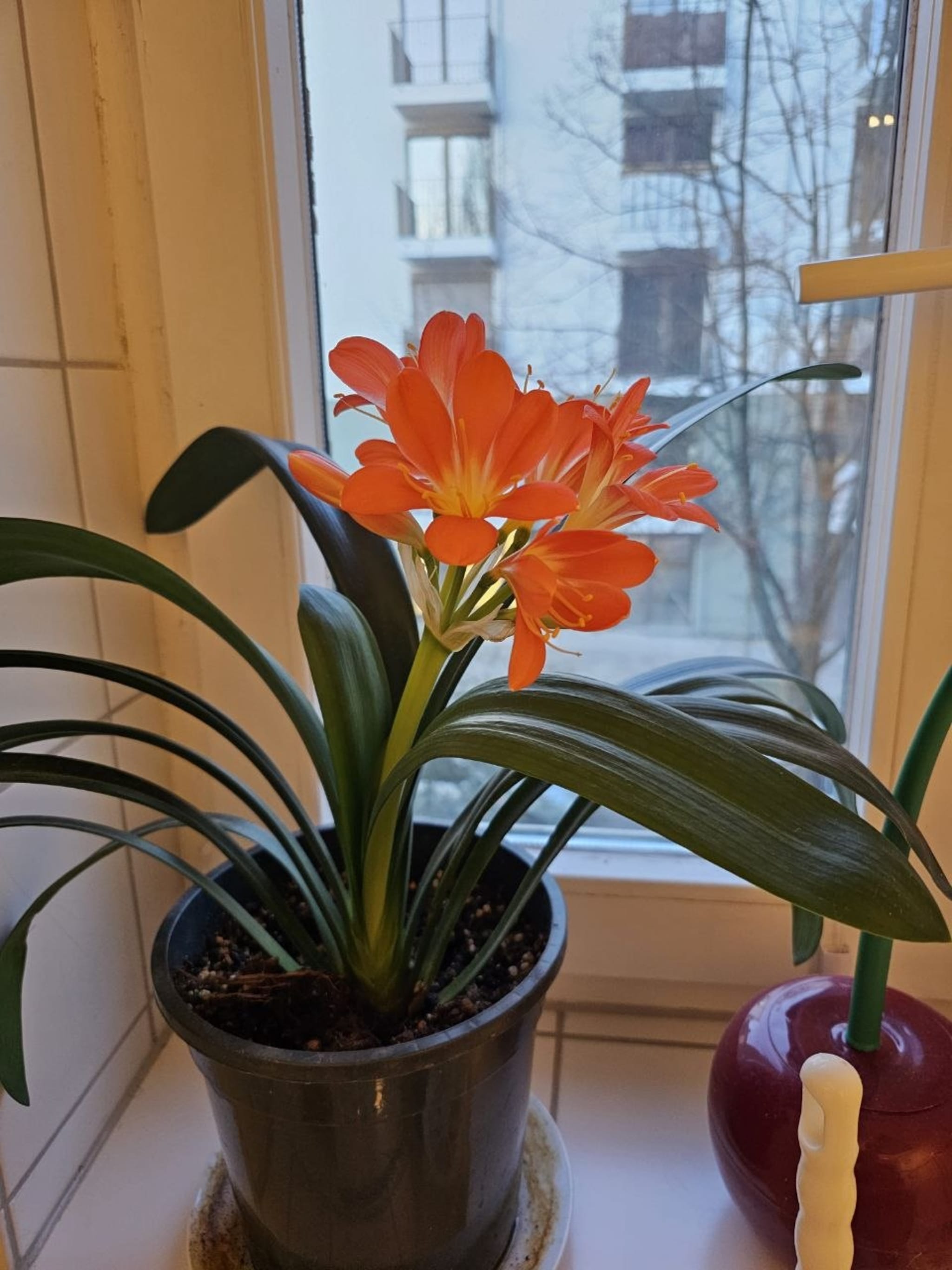 Photo from Telegram