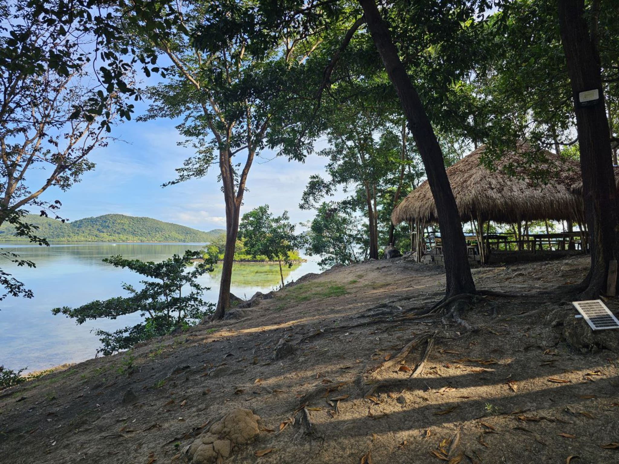Photo from Telegram