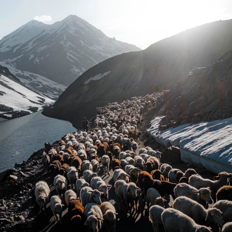 Life is habit forming.