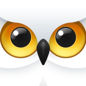 SnowyOwl