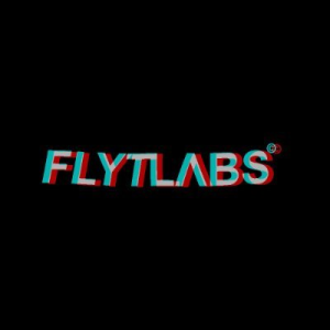 FlytLabs