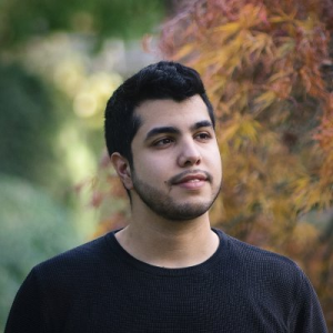 Bengin | Idea Validation