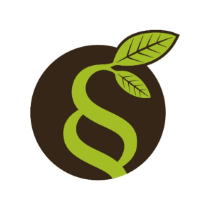 gulden r&ouml;ttger rechtsanw&auml;lte