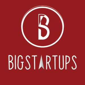 Bigstartups.in