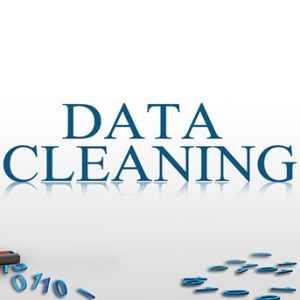 Data CleaningService