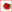 Use a variable to set the border color