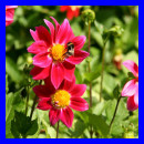 Use a variable to set the border color Use a variable to set the border color