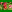 Image padded to a width and height of 300 pixels with green background