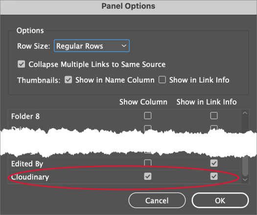 InDesign Link Panel Options