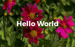 Text overlay styling