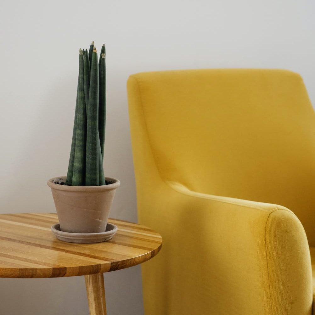 A mustard armchair beside an oak side table
