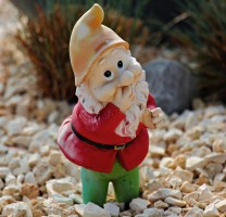 Original image of a gnome