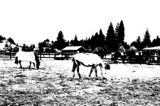 Black and white image with stronger preference for white