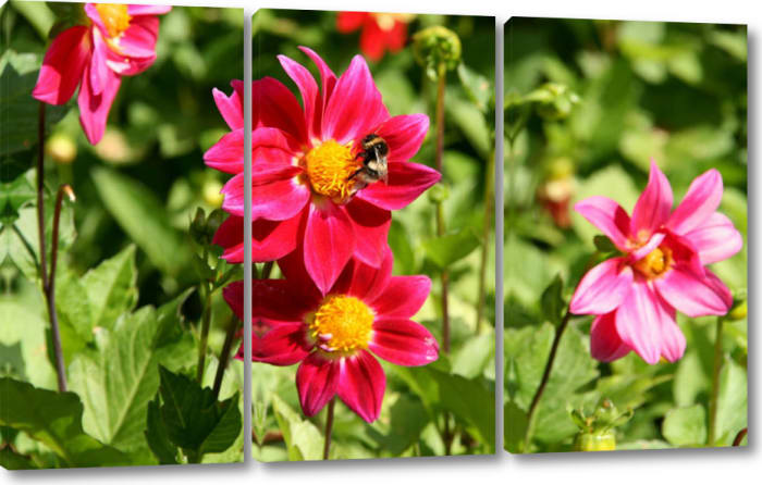 Triptych canvas Triptych canvas