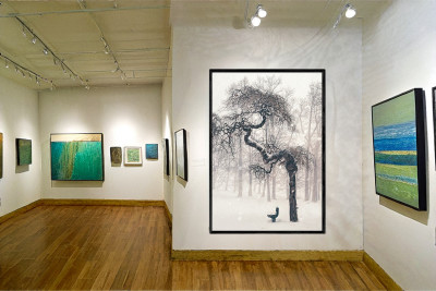 The picture of the tree in an art gallery The picture of the tree in an art gallery