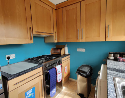 Kitchen with teal walls