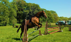 Image with person removed