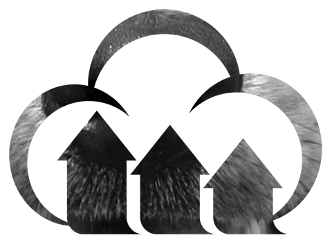 Grayscale logo