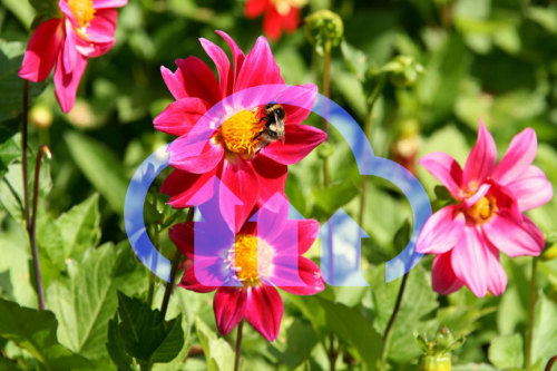 Image made brighter according to overlay