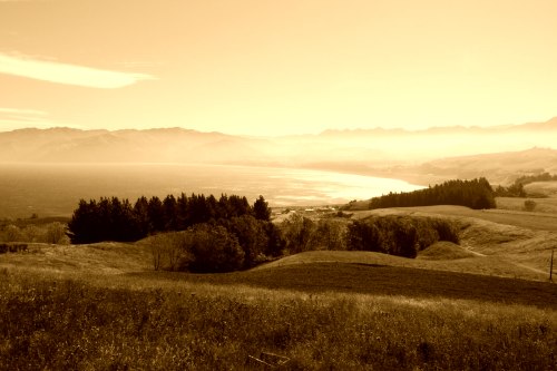 Sepia Sepia