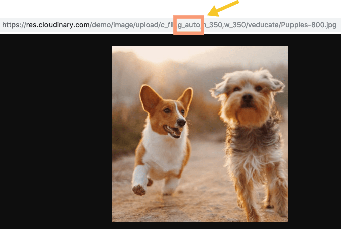 https://res.cloudinary.com/demo/image/upload/f_auto,q_auto,c_scale/v1552491147/g_auto-example-dogs_prckir.png