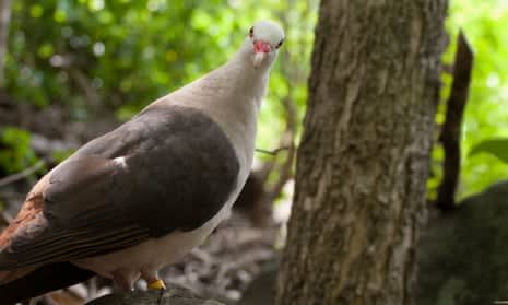 bird on a branch