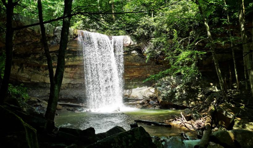 waterfall through green forest