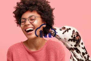 Image overlay with multiply blend mode