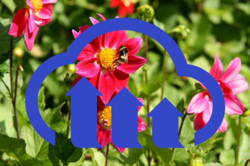 Image with overlay resized relative to base image