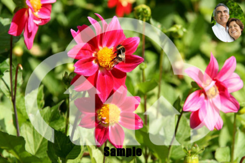 Image with 3 overlays Image with 3 overlays