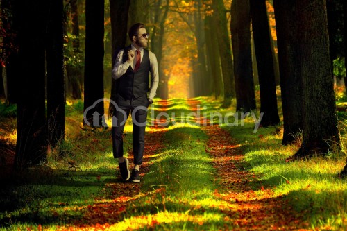 Image with overlay