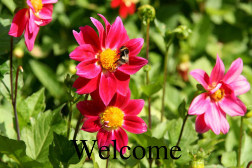 Text added to image using % offset Text added to image using % offset
