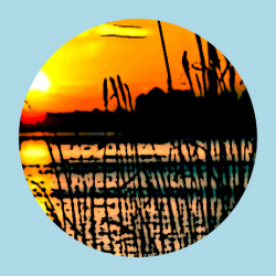 demo_combined named transformation applied to image demo_combined named transformation applied to image