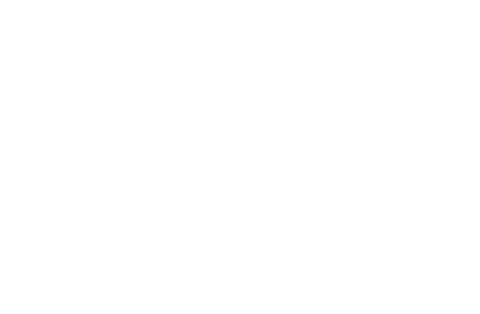 Pro Debt Removals