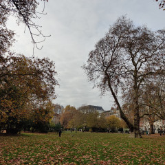 Park