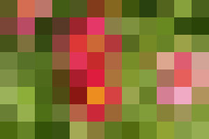 Sample image with pixelate effect applied